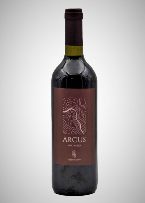 Montepulciano 'Arcus' 2021 L'Arco Antico